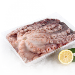 Polvo Congelado