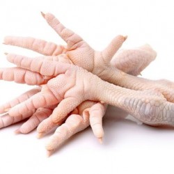 Patas Limpas