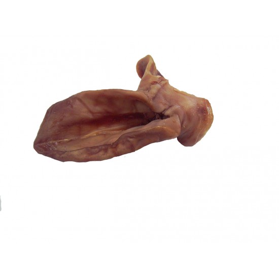 Ouvidos Fumados